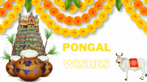 Read more about the article 🌾🌞🎉 Pongal Wishes in Tamil 🎉🌞🌾